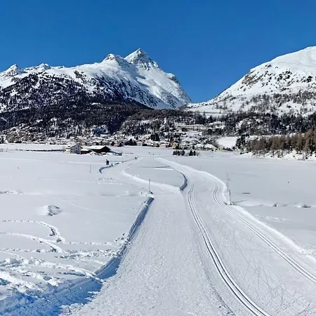 Residenza Chesa Margun 56-3 By Interhome Appartement *